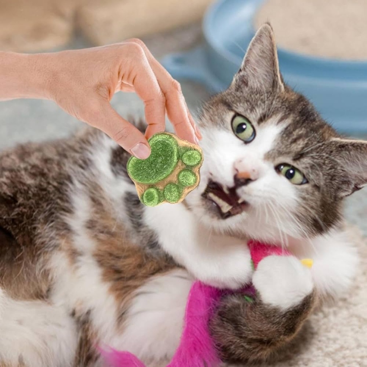 Freeze - Dried Cat Paw Cookies