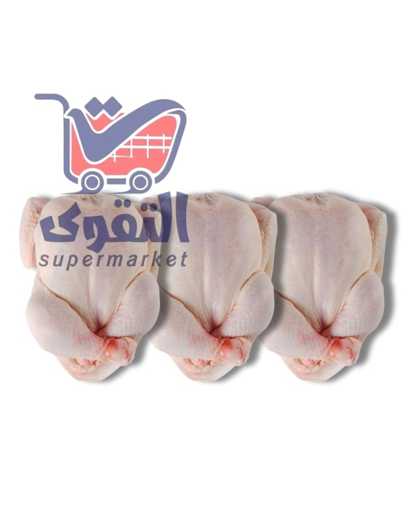 فروج طازج نخب اول 1 كغم