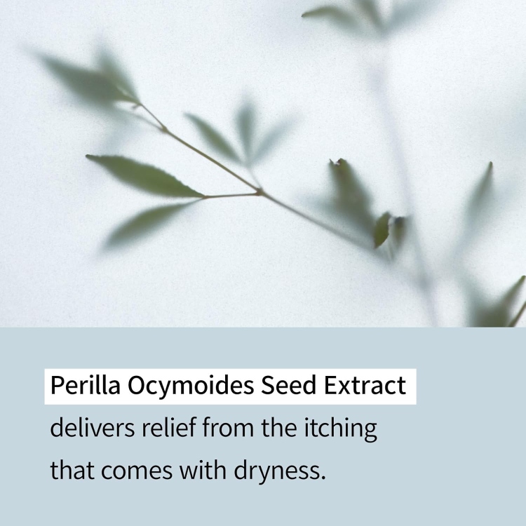 ILLIYOON, Ceramide Ato Lotion