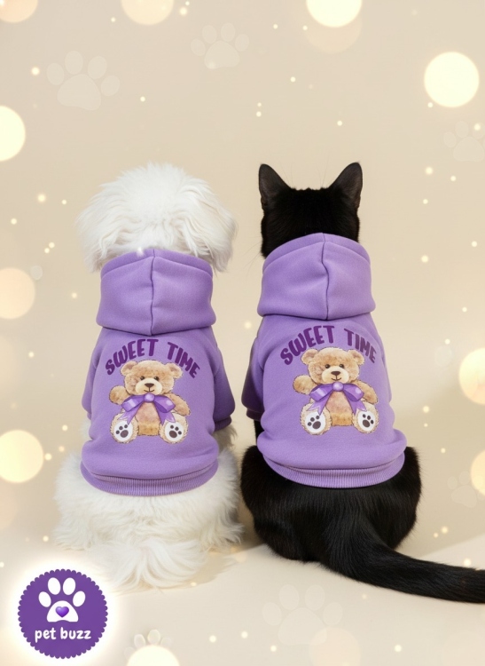 Tedd" Pet Hoodie