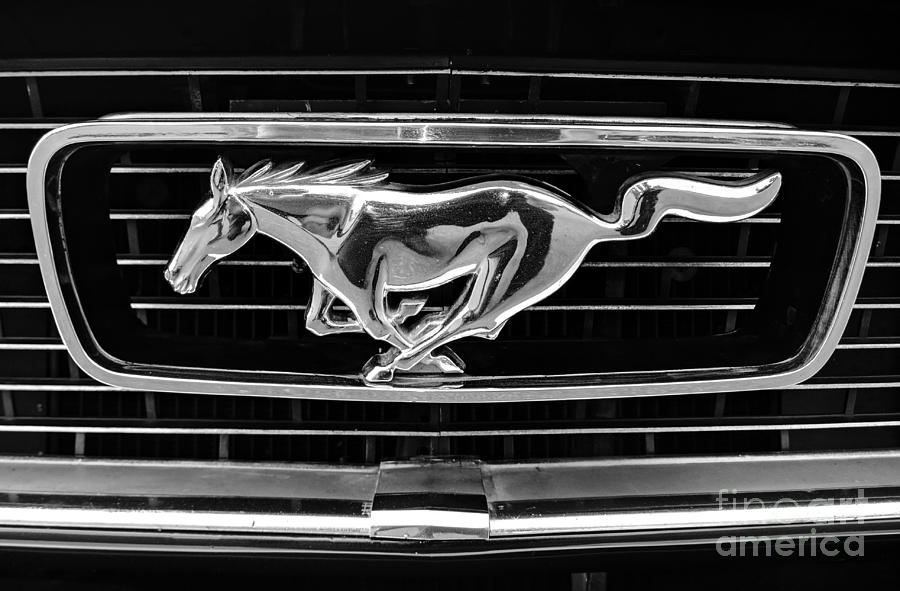 لوجو فورد موستينغ Ford Mustang Logo