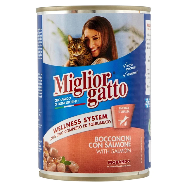 Miglior gatto with Salmon Chunks 405g