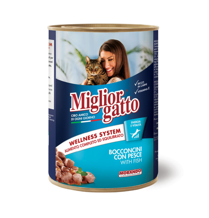 Miglior gatto with Fish Chunks 405g