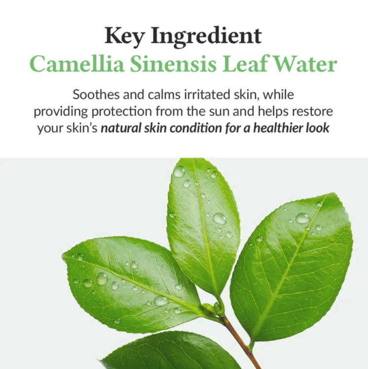 Dr. Althea, Green Tea Fresh Sunscreen