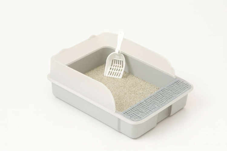 Cat Litter Box with Scoop
