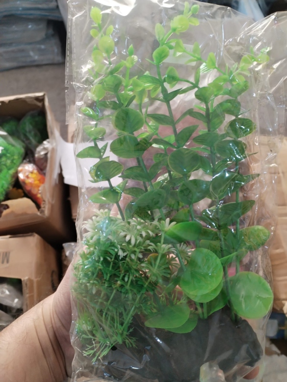 نبات زينة اصطناعي 