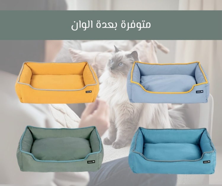 Comfortable Sofa Bed