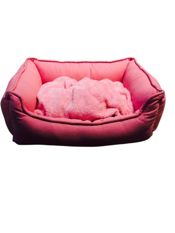 Comfortable Sofa Bed