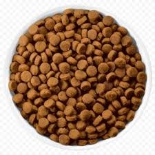 Jessy Kitten Dry Food