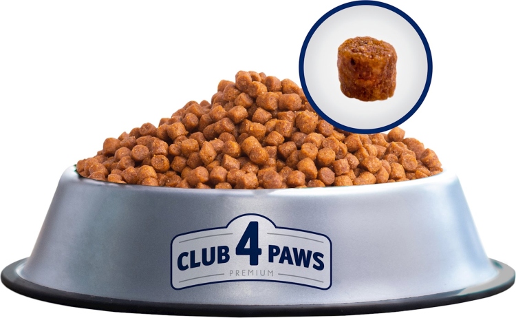 Club 4 paws للقطط الصغيرة 