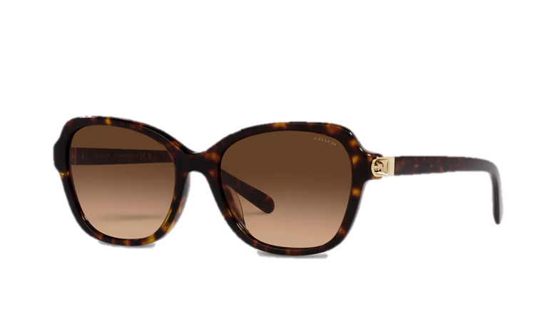 EyeframesInt-COACH-CD481 - Hinged Horse And Carriage Square Sunglasses, Dark Tortoise
