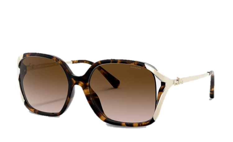  EyeframesInt-COACH-L1116 - Oversized Horse And Carriage Sunglasses - Dark Tortoise