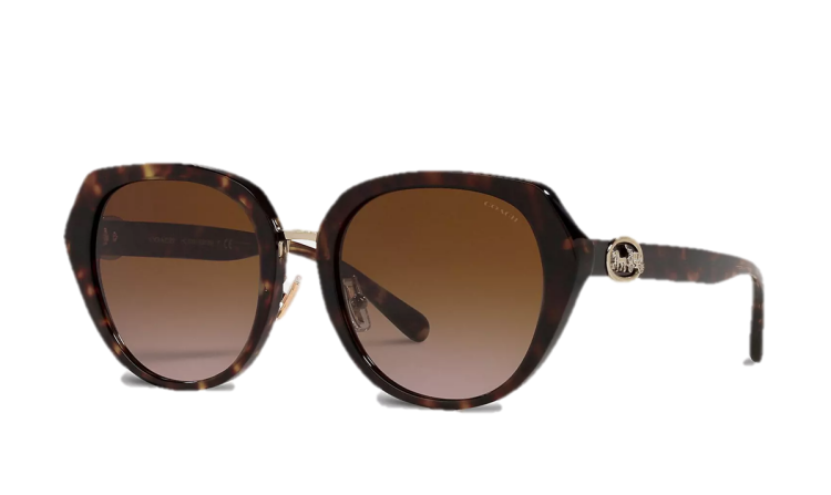  EyeframesInt-COACH-C6189 - Horse And Carriage Oversized Round Sunglasses - Assorted Colors