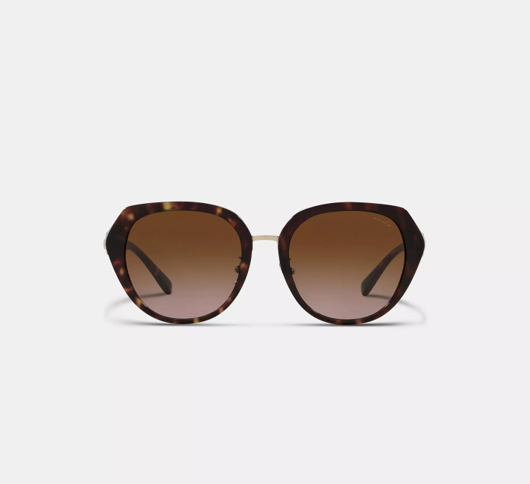  EyeframesInt-COACH-C6189 - Horse And Carriage Oversized Round Sunglasses - Assorted Colors