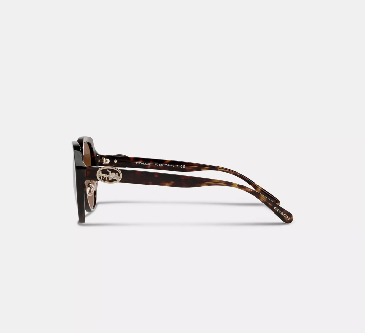  EyeframesInt-COACH-C6189 - Horse And Carriage Oversized Round Sunglasses - Assorted Colors