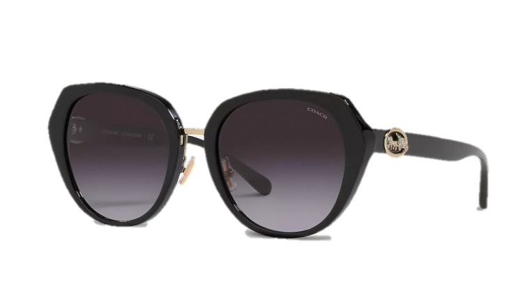 EyeframesInt-COACH-C6189 - Horse And Carriage Oversized Round Sunglasses - Assorted Colors