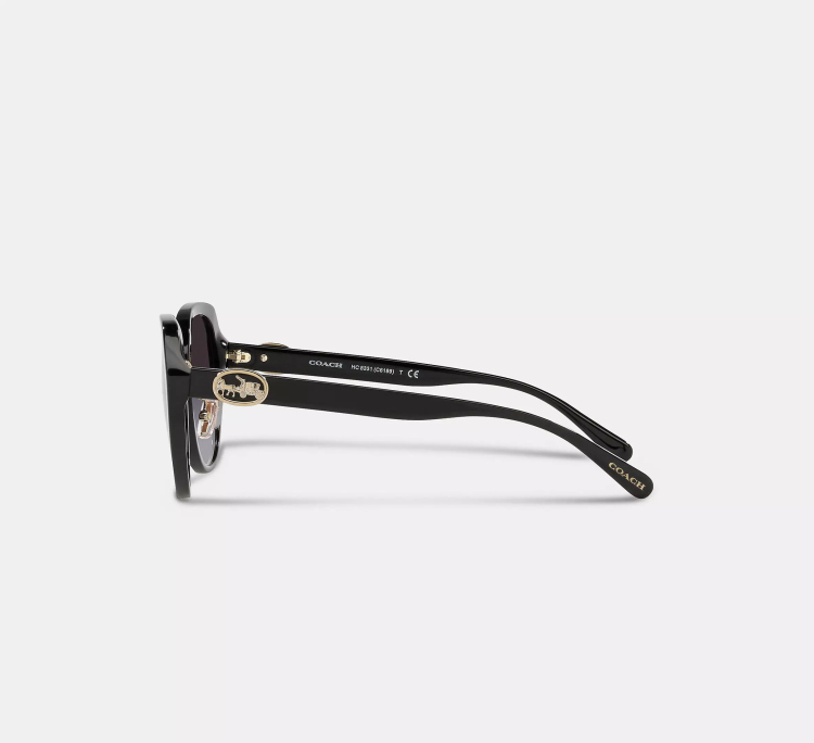  EyeframesInt-COACH-C6189 - Horse And Carriage Oversized Round Sunglasses - Assorted Colors