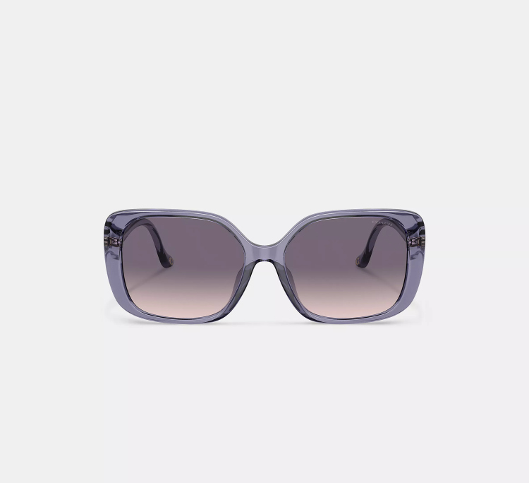 EyeframesInt-COACH-CL929 - Swoop Temple Rectangle Sunglasses - Assorted Colors