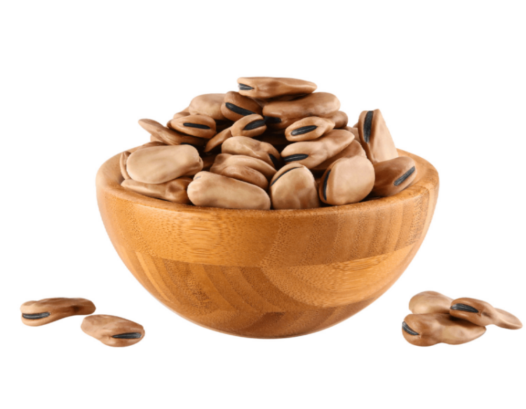 فول حبه عريضه