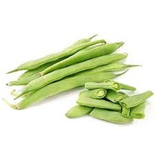 فاصوليا بلدية
