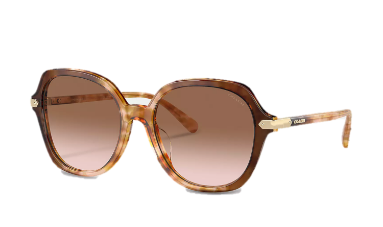 EyeframesInt-COACH-CL925 - Wrap Around Hangtag Oversized Geometric Round Sunglasses - Assorted Colors