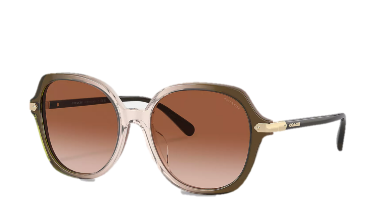 EyeframesInt-COACH-CL925 - Wrap Around Hangtag Oversized Geometric Round Sunglasses - Assorted Colors