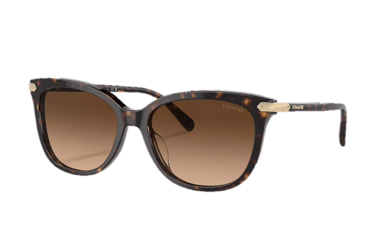 EyeframesInt-COACH-CL926 - Wrap Around Hangtag Square Sunglasses - Assorted Colors