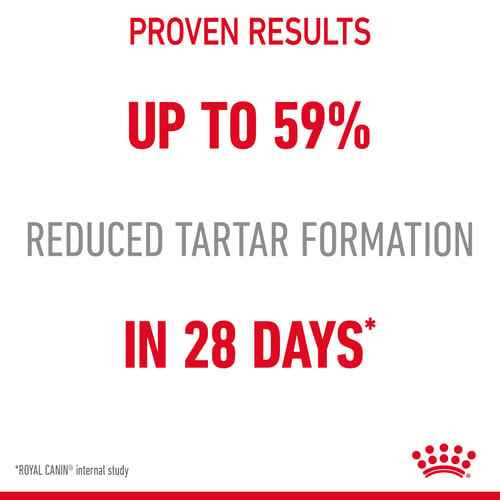 Royal Canin للعناية بصحة الأسنان