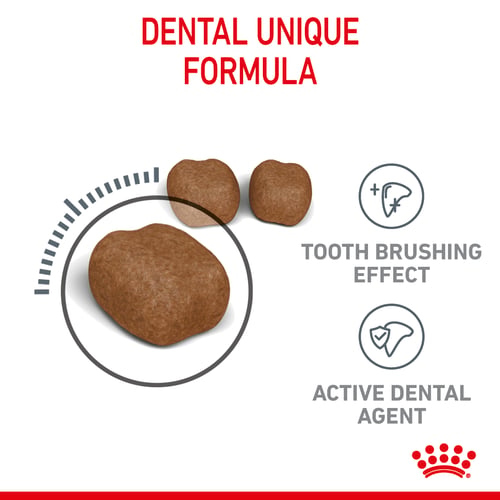 Royal Canin للعناية بصحة الأسنان