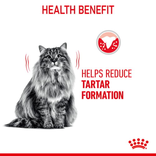 Royal Canin للعناية بصحة الأسنان