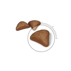 Royal Canin للتحكم في كرات الشعر 