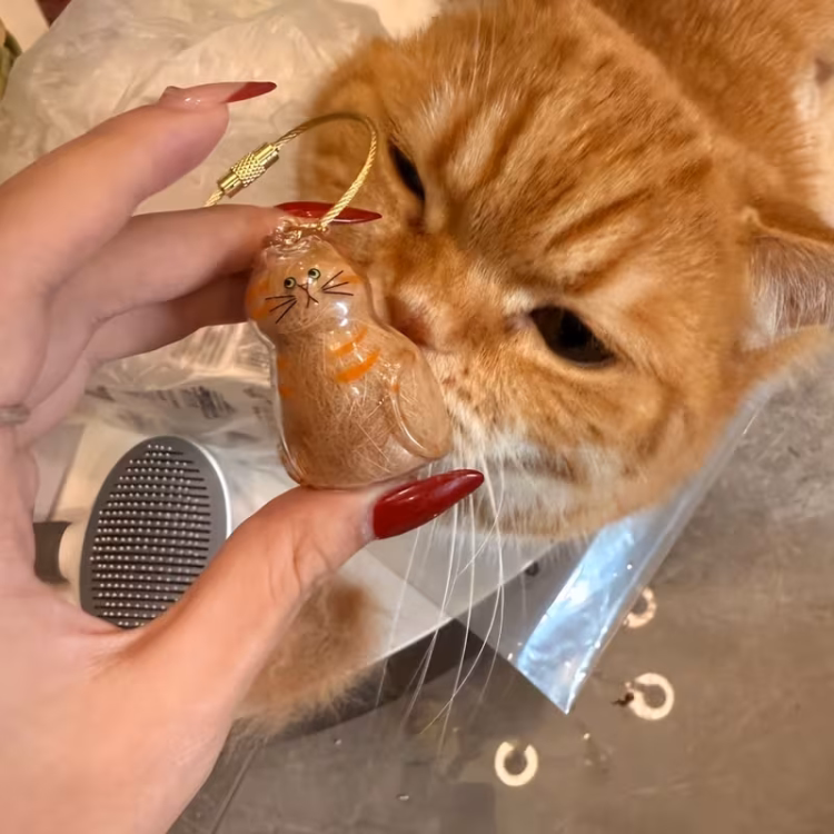 ميدالية تذكارية شفافة توضع داخلها شعر القطط 