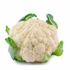 زهره كغم