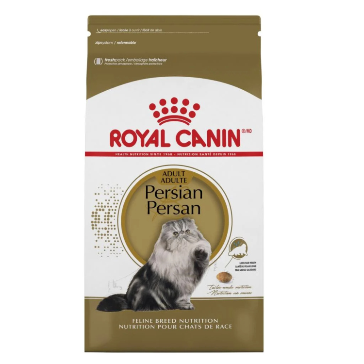 Royal Canin للقطط البيرشن البالغة 