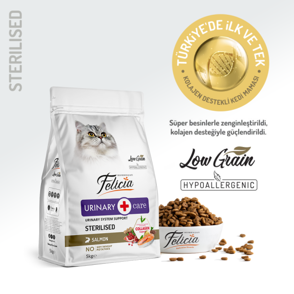 Felicia sterilized Salmon 5 kg