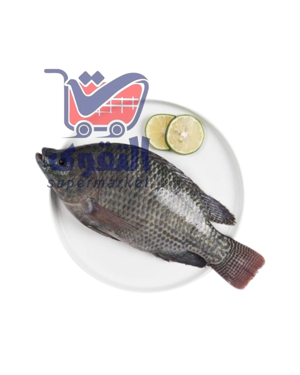 سمك بلطي مجمد وزن 1 كغم