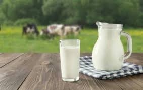 مخيض بقر عرض