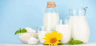 لبن مخيض غنم