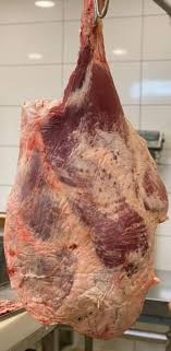 فخد عجل بلدي