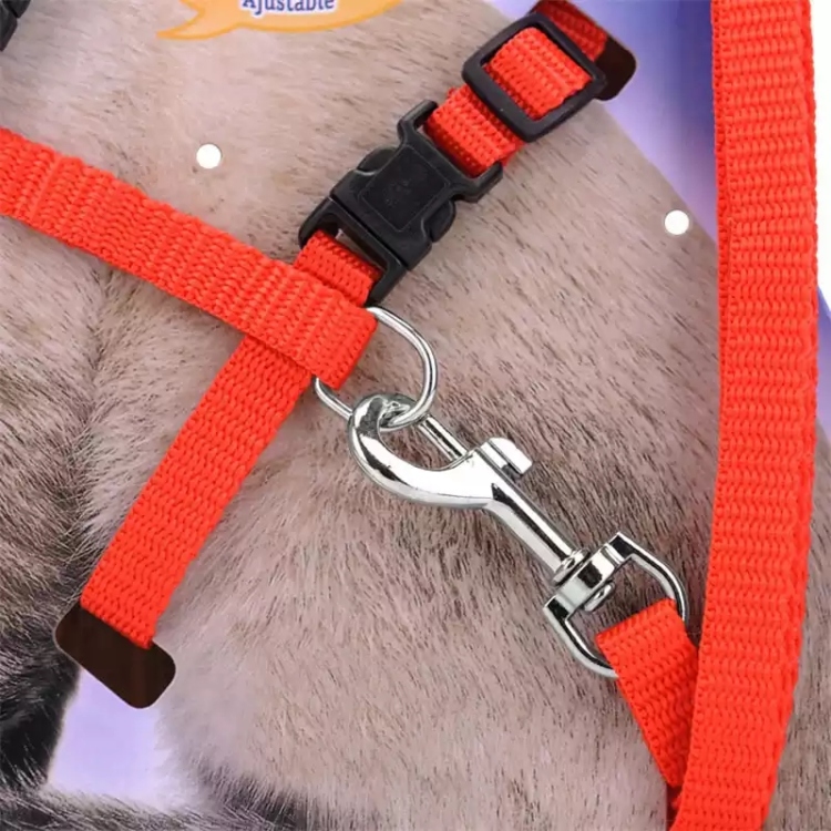 طوق صدر للقطط