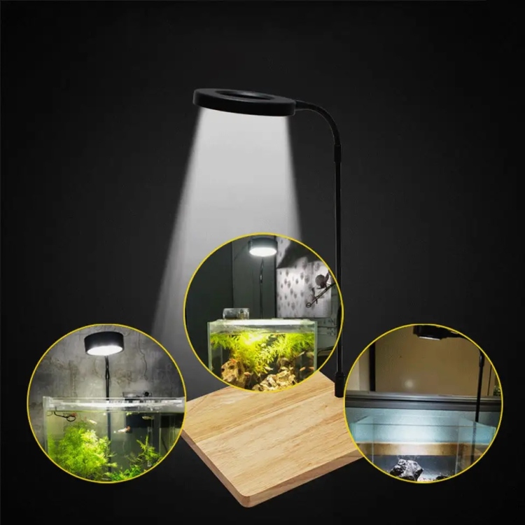 مصباح LED لحوض السمك 