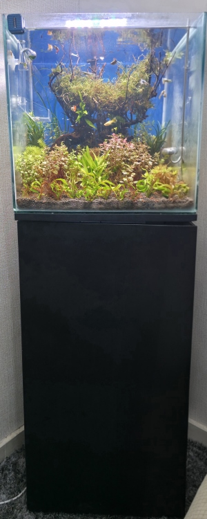 حوض اسماك مع طاولة