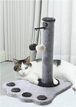 لعبة خداشة القطط مع ألعاب معلقة 