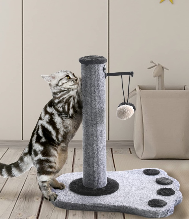 لعبة خداشة القطط مع ألعاب معلقة 