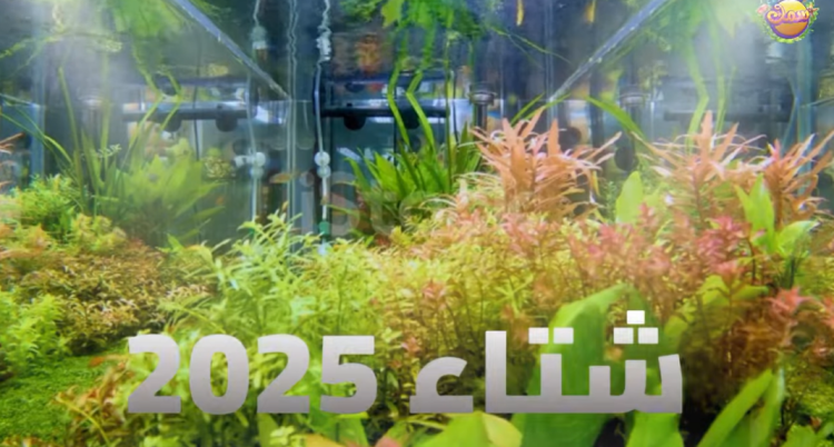  التحضير لموسم الشتاء 🥶