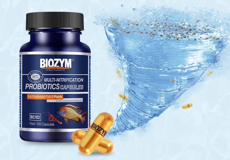  بكتيريا نافعة لتنقية المياه من BlOZYM 