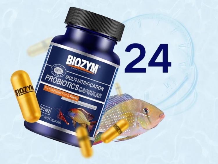  بكتيريا نافعة لتنقية المياه من BlOZYM 
