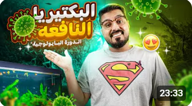 الدورة البيولوجية 