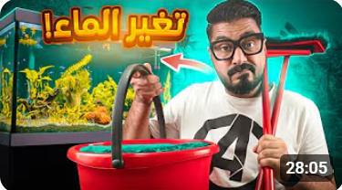 الصيانة الدورية للحوض 