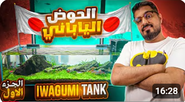 الحوض الياباني 